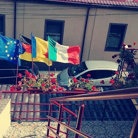 Pensiunea Pelican Τουλσέα Εξωτερικό φωτογραφία